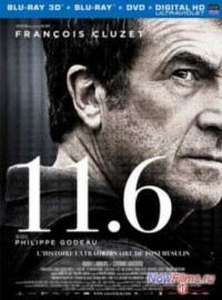 11.6 (2013)