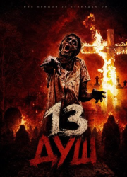 13 ��� (2026)