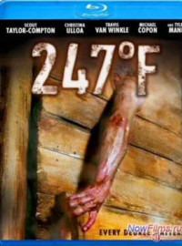 247    (2011)