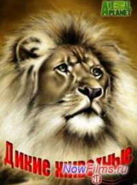 Animal Planet.   (2014)