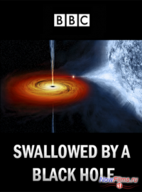 BBC Horizon    (2013)