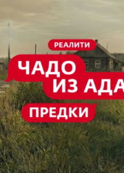 ���� �� ���. ������ (2026)