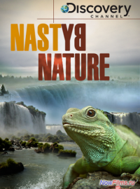 Discovery:    (2008)