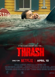 ������ ����� (2026)