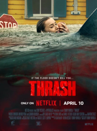 ������ ����� (2026)