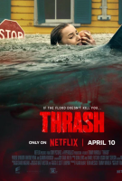 ������ ����� (2026)