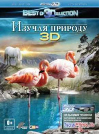   3D (2012)