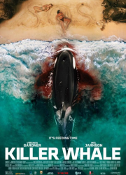 ���-������ (2026)