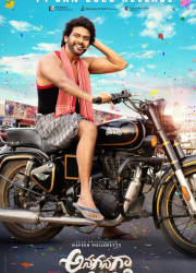 ������ �� ���� (2026)