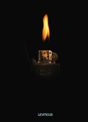 ����� (2026)