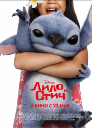    (2025)