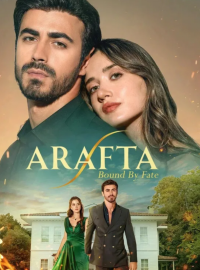 ����� / ��������� ������� / ������ (2025)