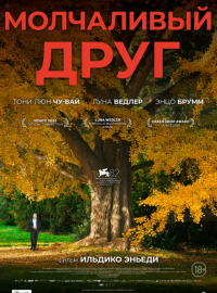 ���������� ���� (2025)