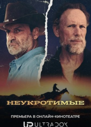 ����������� (2026)