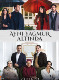 ��� ����� ������ (2026)