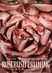 �������� ������ ��� (2026)