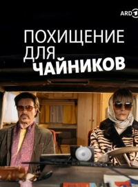 Похищение для чайников (2024)