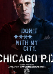 Полиция Чикаго (1-10 Сезон)