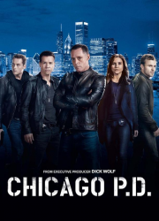 Полиция Чикаго (1-11 Сезон)
