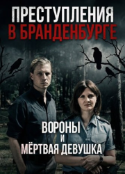 ������������ � ������������: ������ � ������� ������� (2025)