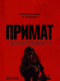 ������ (2025)