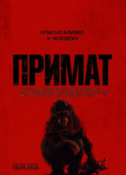 ������ (2025)