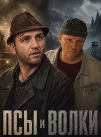 ��� � ����� (2026)