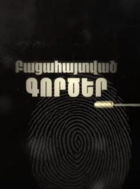 Раскрытые дела (2025)