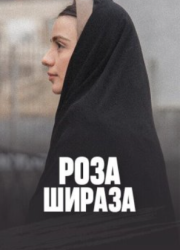   (2020)