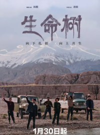 ��������� ���� / ������ ����� (2026)