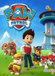 ������� ������� (1-12 �����)