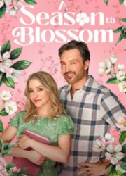 ����� �������� (2026)