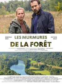 ����� ���� (2026)