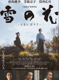 ������� ������ (2024)