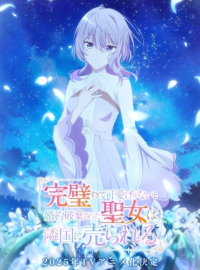    ,    - ,      (2025)