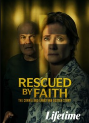 ��������� �����: ������� ����� � ����� ��� ����� (2026)