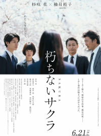 ������ ������ (2024)