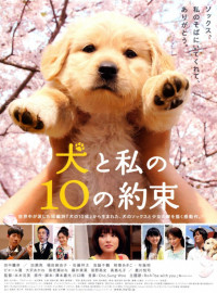 10    (2008)