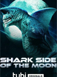    (2022)