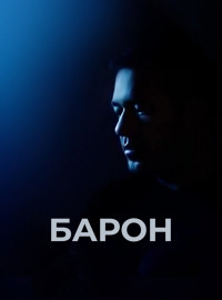  (2016)