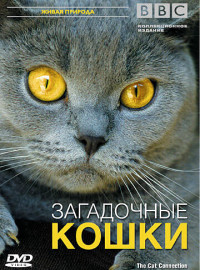 BBC: Загадочные кошки (2002)