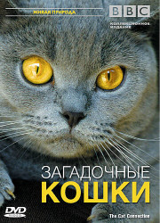 BBC:   (2002)
