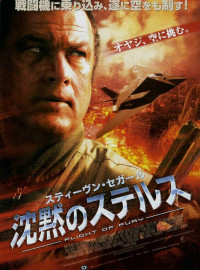   (2007)