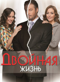   (2013)