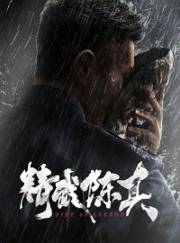   (2019)