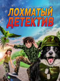   (2018)