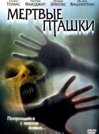   (2004)
