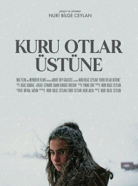 О сухой траве (2023)