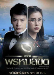    (2017)