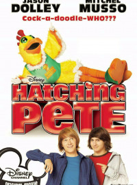    (2009)